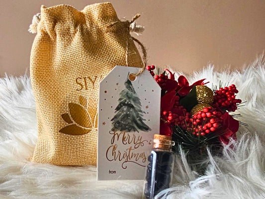 X'Mas Edition - PROTECTION